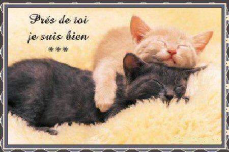Comme c'est mimi!